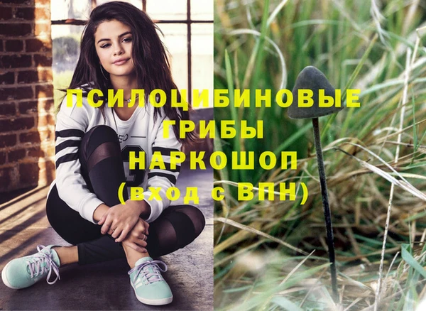 прущая мука Арсеньев