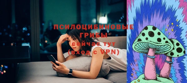 молекула духа Алексеевка