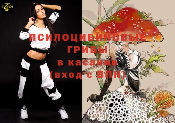 прущая мука Арсеньев